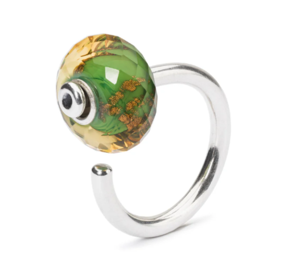 Trollbeads Ring Of Change TAGRI-00351