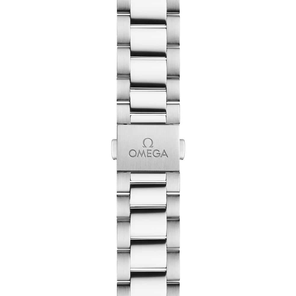 OMEGA Seamaster Aqua Terra 34mm Silver Dial Automatic Ladies Watch 22010342002001